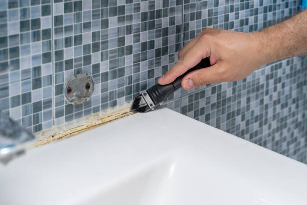 Best Bathroom Mold Remediation in Wabasso Beach, FL