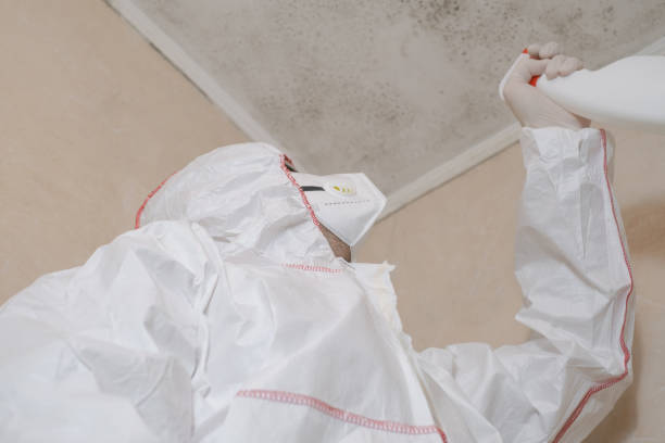 Best Localized Mold Remediation (e.g., coastal areas, humid climates) in Wabasso Beach, FL